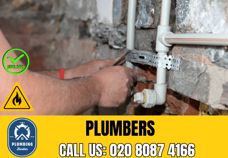  plumber Fortis Green